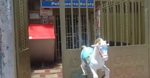 PELUQUERIA NATALY PELUQUERIA NATALY